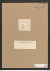 Diatomeae indet. Zeichnungen Sammlung Grunow Nr. 4507 (NHMW-BOT-W0372475)